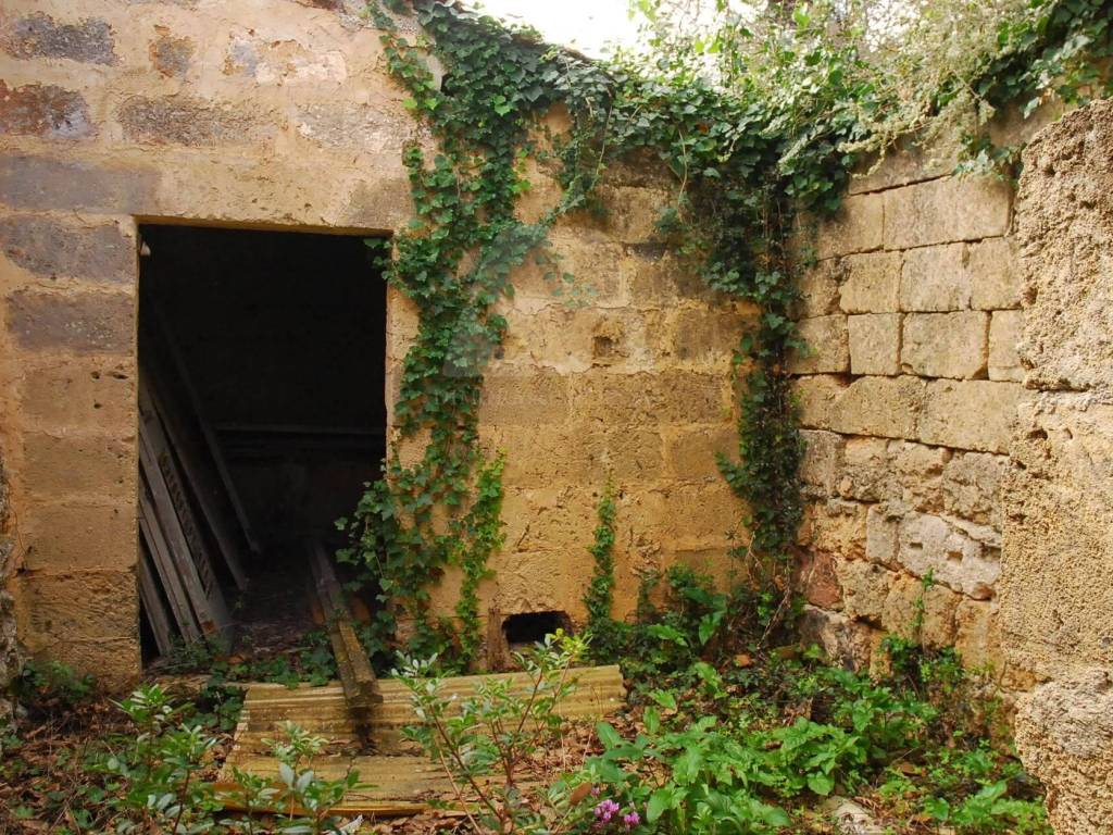 Casa indipendente a Tricase in Strada Vicinale Finocchiaro - Foto 3