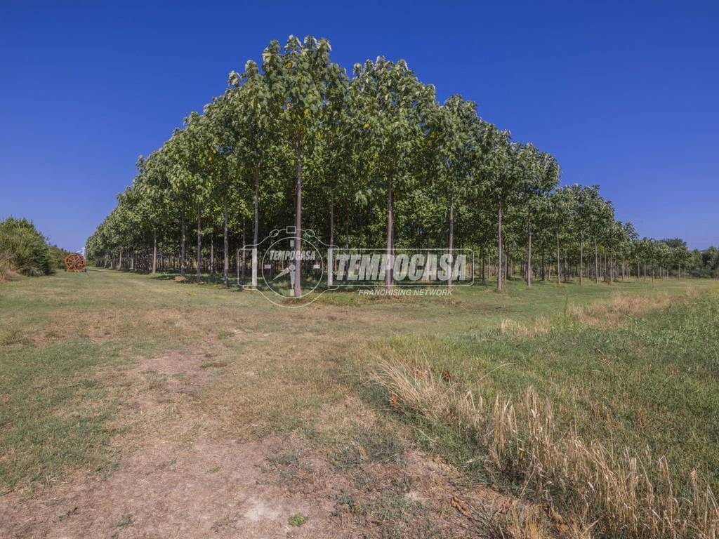 Terreno a Corridonia - Foto 3