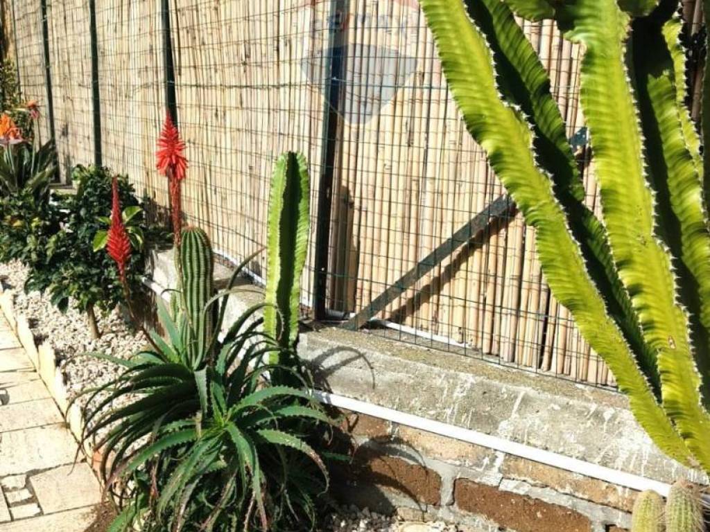 Appartamento a Montalto di castro - Foto 2