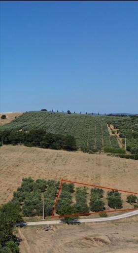 Villa a Capalbio - Foto 5