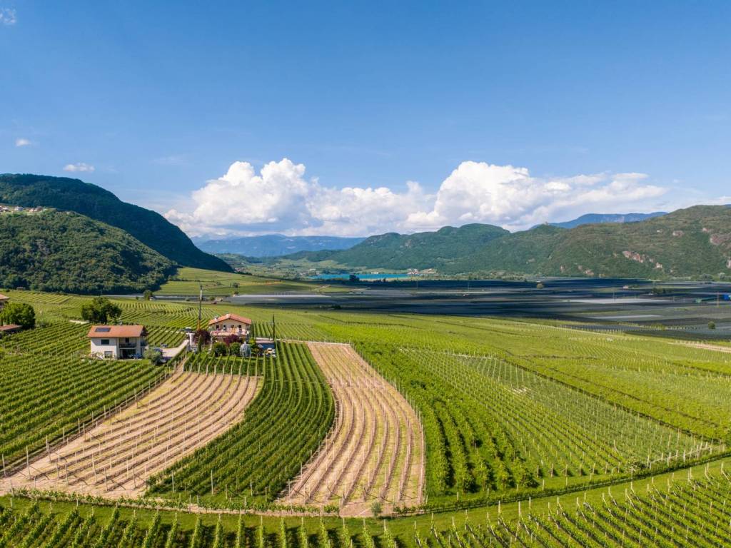 Villa a Termeno sulla strada del vino in In der Au, 18 - Foto 3