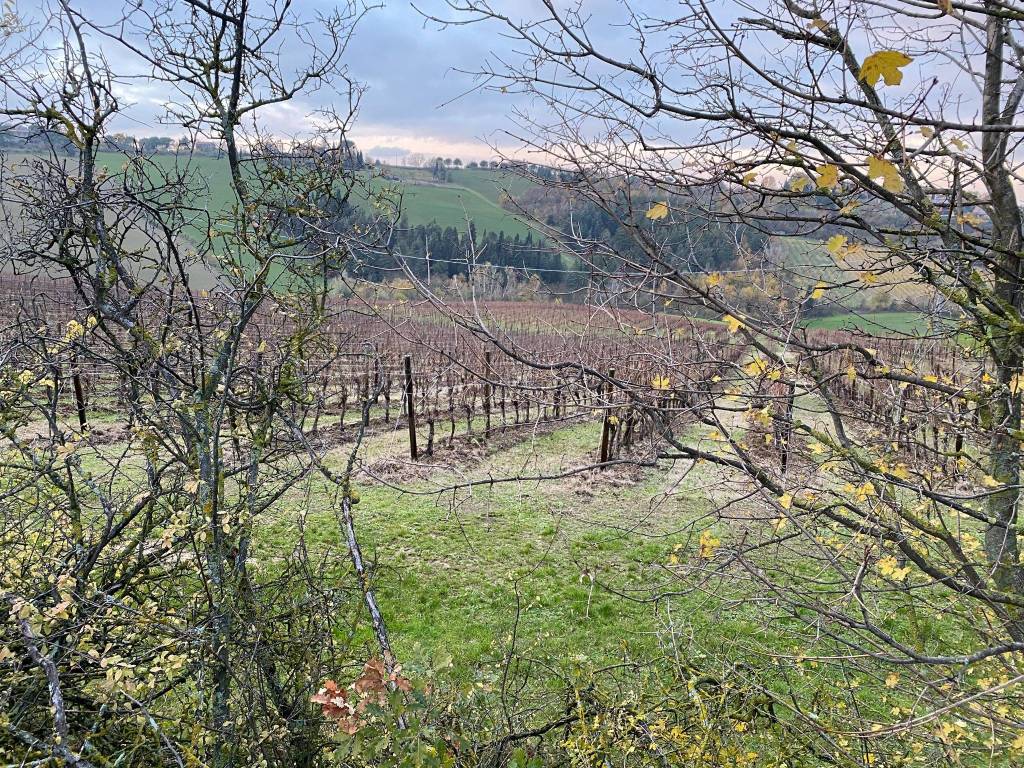 Terreno a Imola - Foto 2