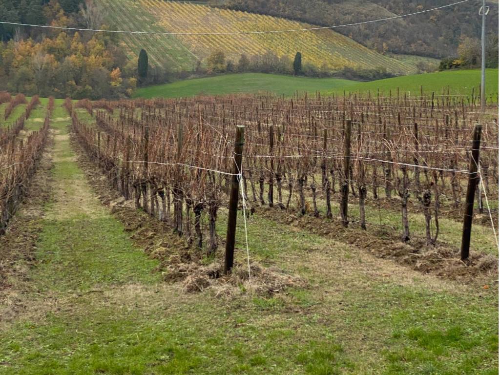Terreno a Imola - Foto 3