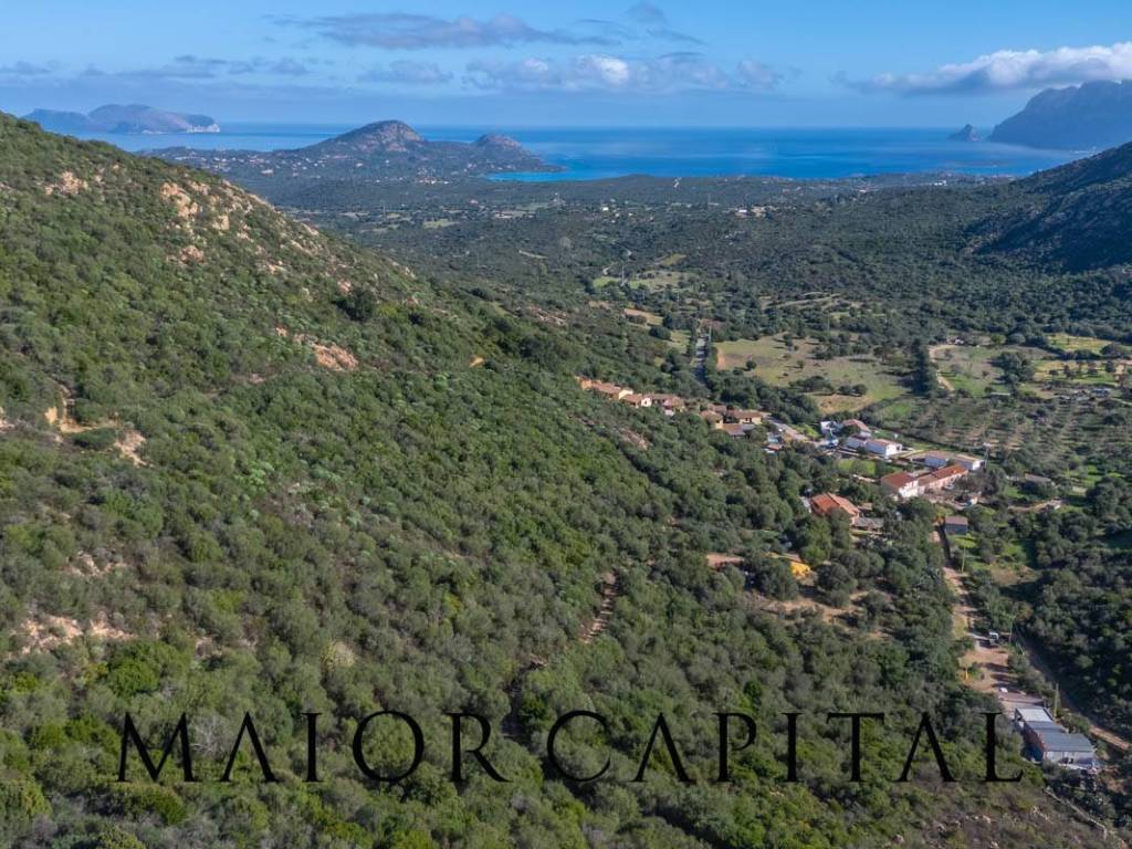 Terreno a Loiri porto san paolo in Loc. Tiriddò - Foto 2