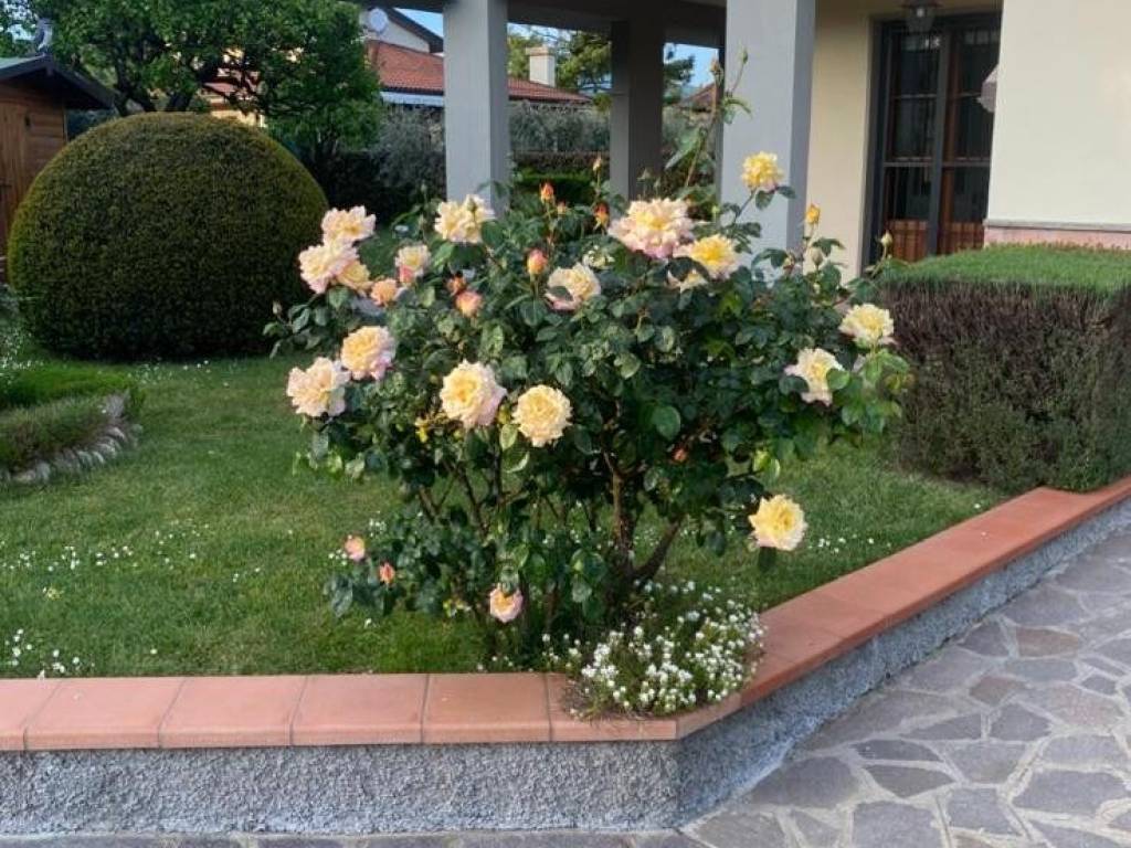 Villa a Barberino di mugello in Via del Tabernacolo, 4 - Foto 4