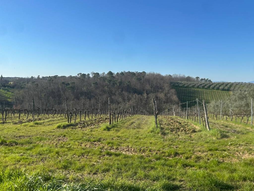 Rustico / casale a San casciano in val di pesa in Strada Provinciale Panzano-Testalepre - Foto 4