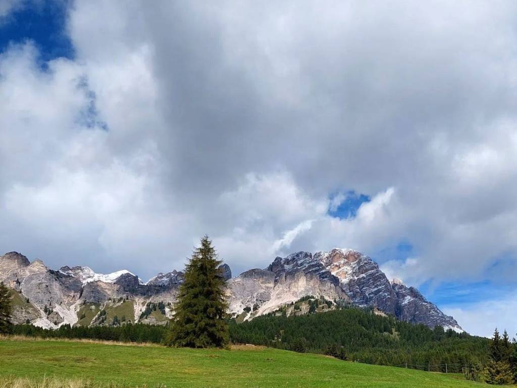Appartamento a Cortina d'ampezzo in Località Alverà - Foto 3