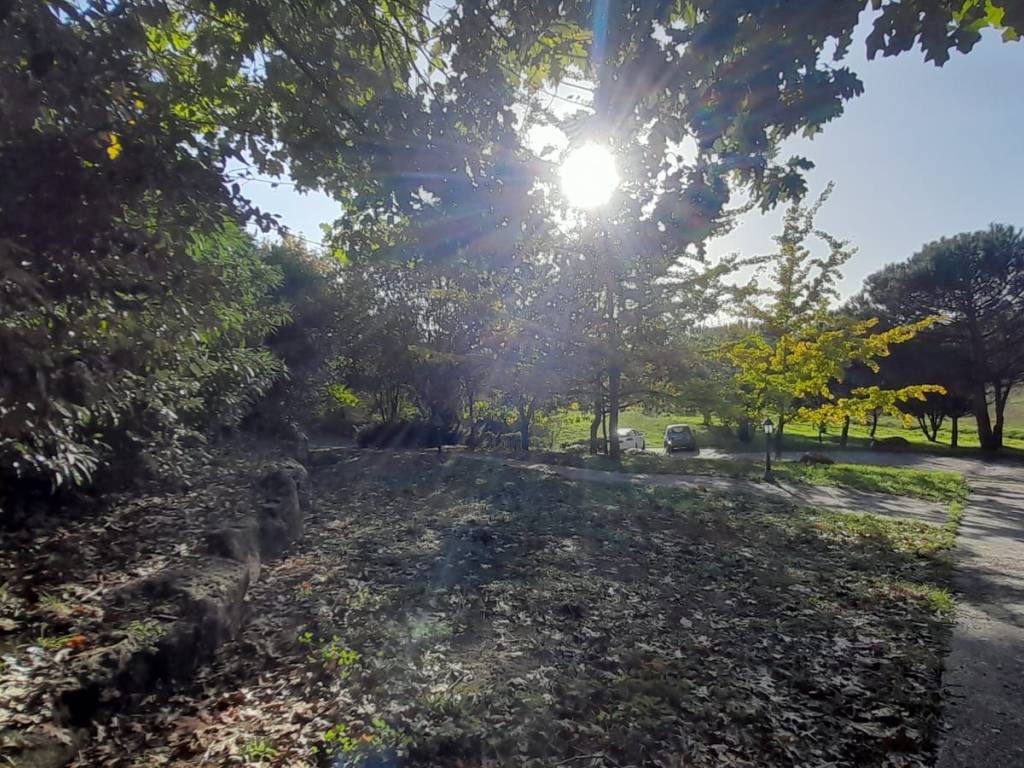 Villa a Bracciano in Via dell'Omo Morto - Foto 4