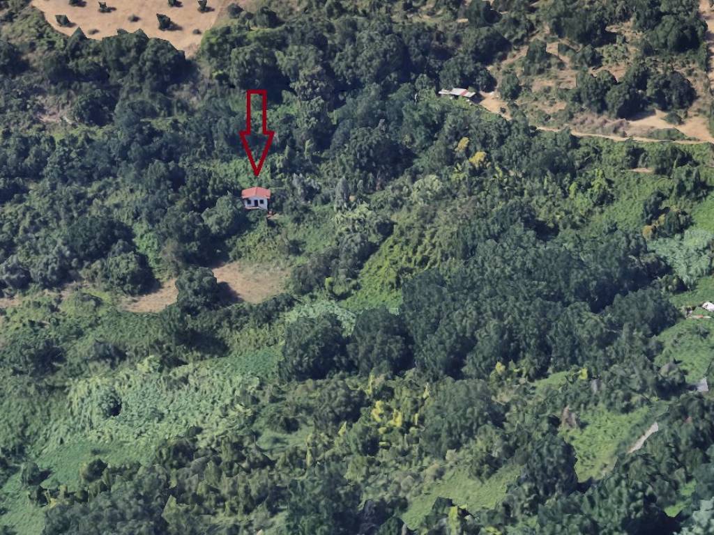 Terreno a Castelnuovo di porto in Via del Fontanile, 1 - Foto 2