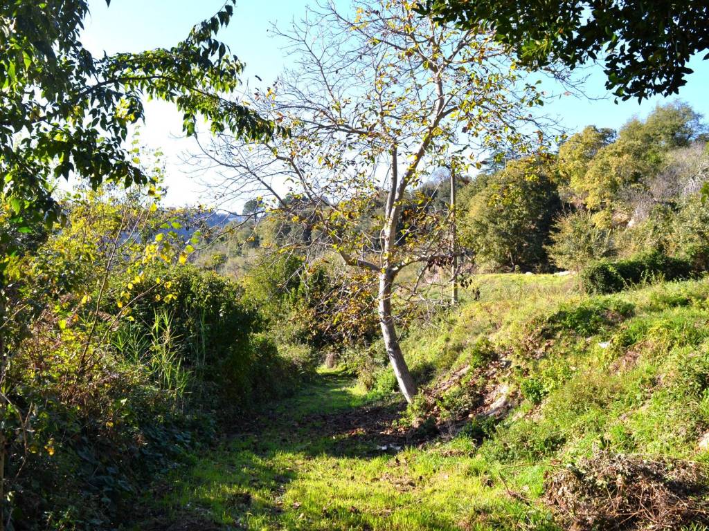 Terreno a Castelnuovo di porto in Via del Fontanile, 1 - Foto 4