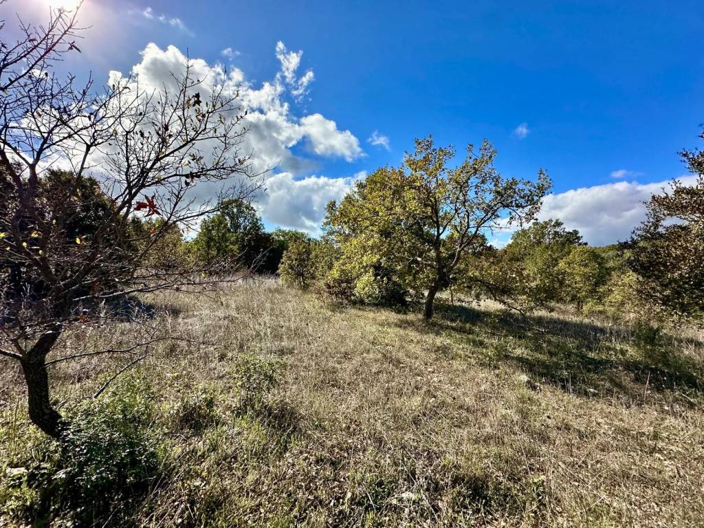 Terreno a Mottola in Contrada Boara - Foto 3