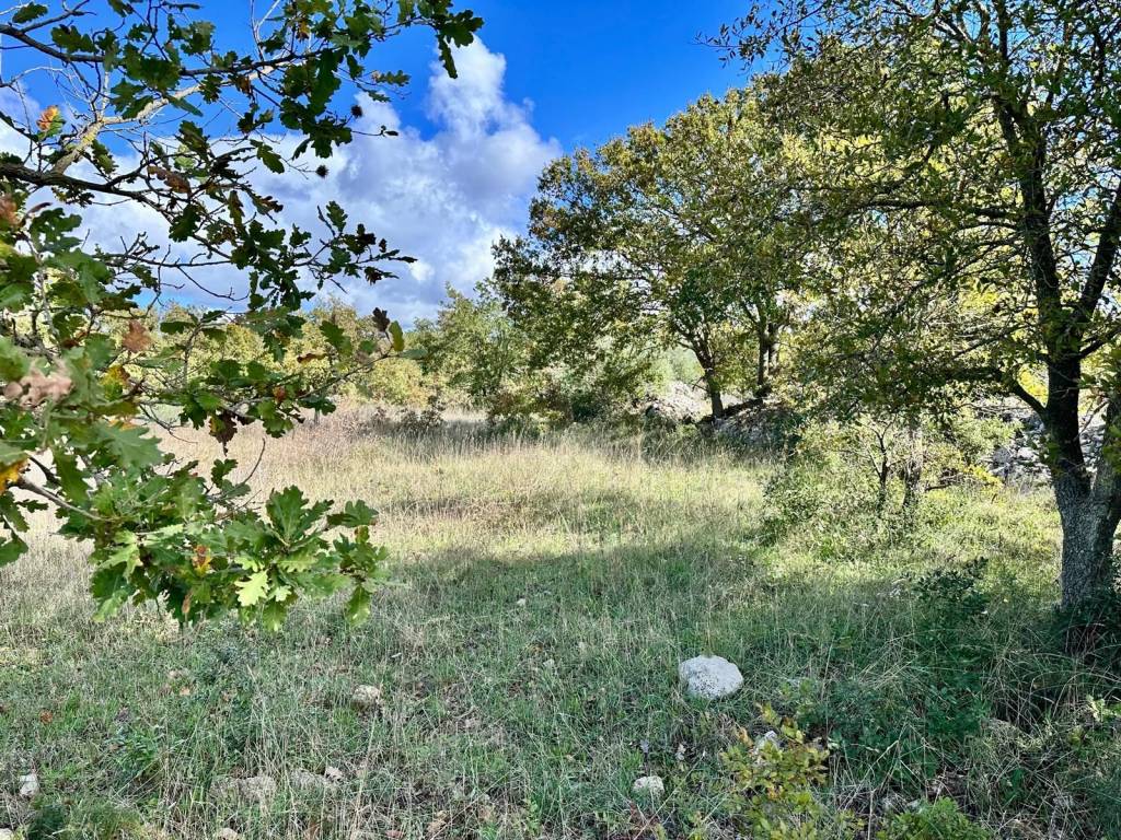 Terreno a Mottola in Contrada Boara - Foto 4