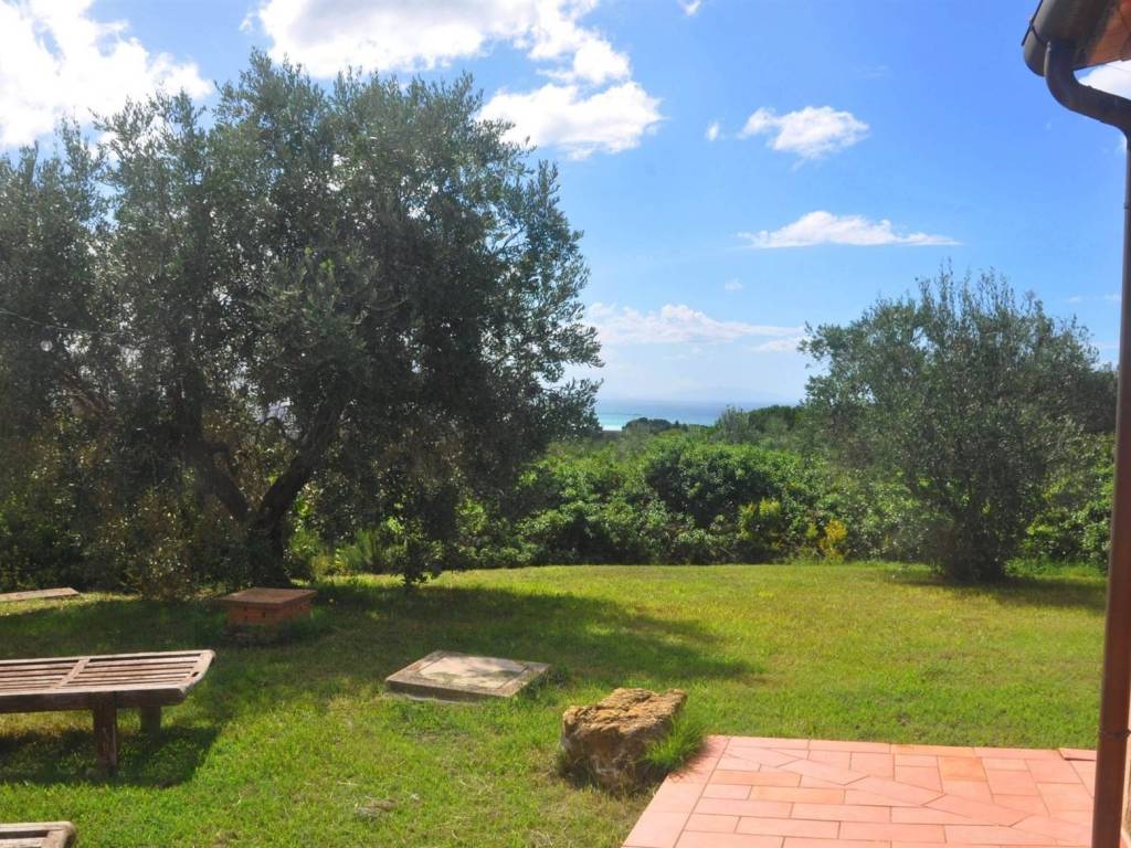 Rustico / casale a Rosignano marittimo - Foto 4