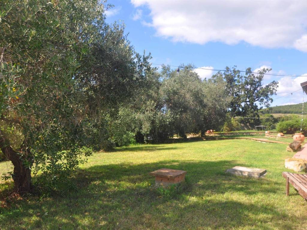Rustico / casale a Rosignano marittimo - Foto 5