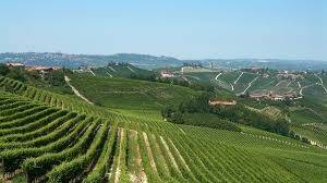 Rustico / casale a Nizza monferrato in Strada Baglio, 8 - Foto 4