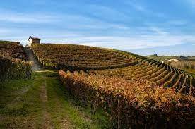 Rustico / casale a Nizza monferrato in Strada Baglio, 8 - Foto 5