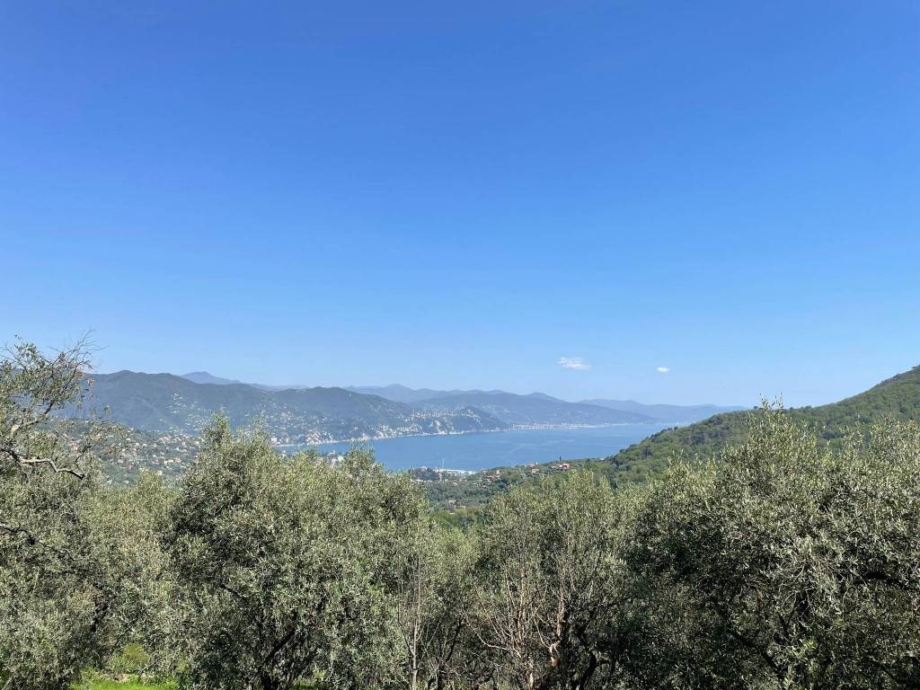 Villa a Santa margherita ligure - Foto 3