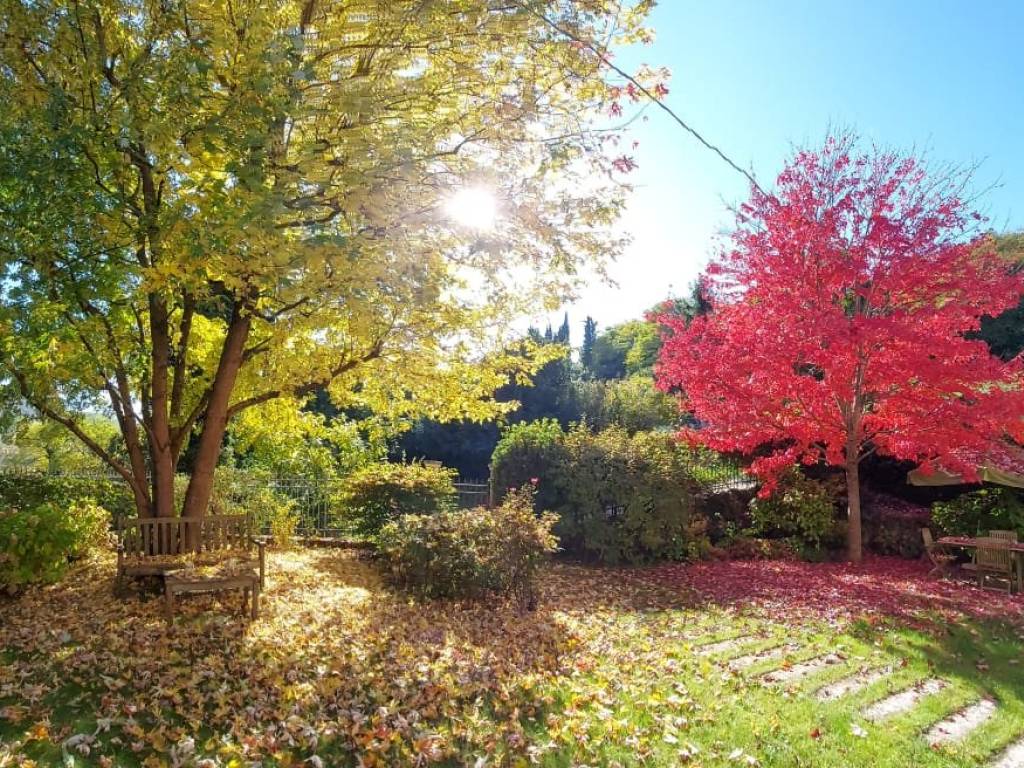 Rustico / casale a Arcugnano in Via Santa Maria - Foto 2