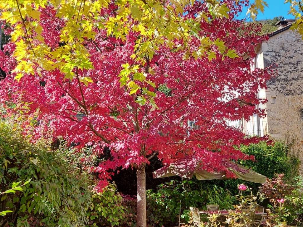 Rustico / casale a Arcugnano in Via Santa Maria - Foto 3