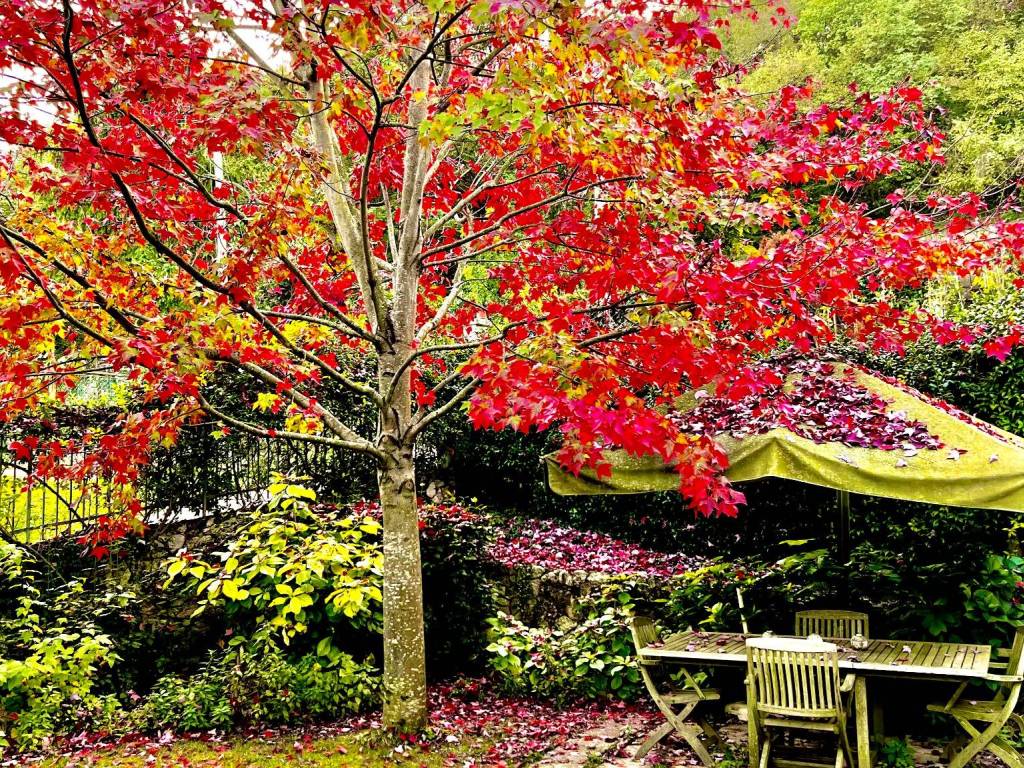 Rustico / casale a Arcugnano in Via Santa Maria - Foto 4
