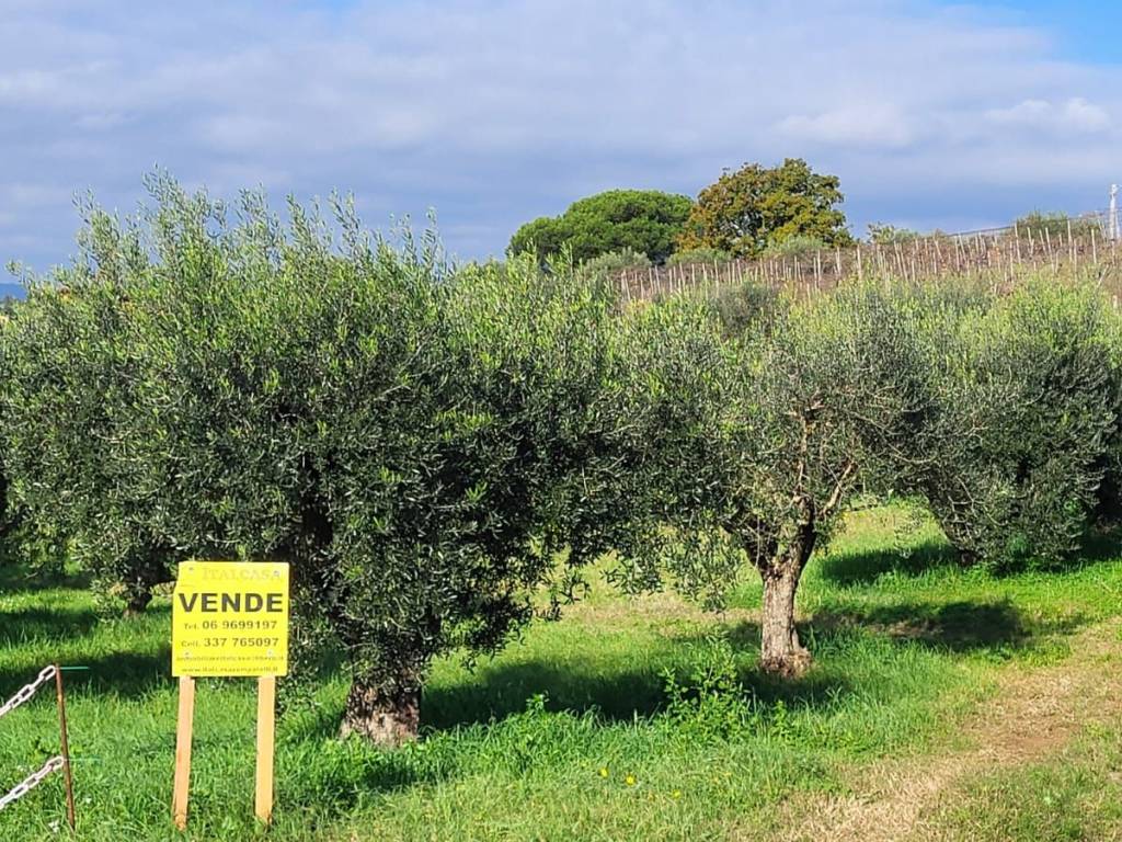 Terreno a Velletri in Via Castel Ginnetti - Foto 2
