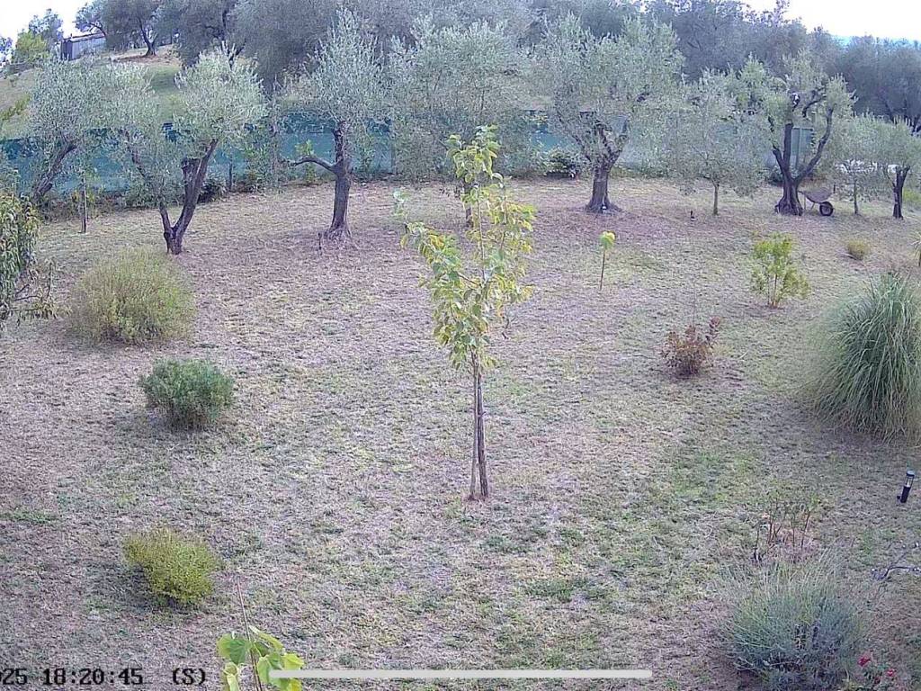 Terreno a Pitigliano in Località San Pietro - Foto 5