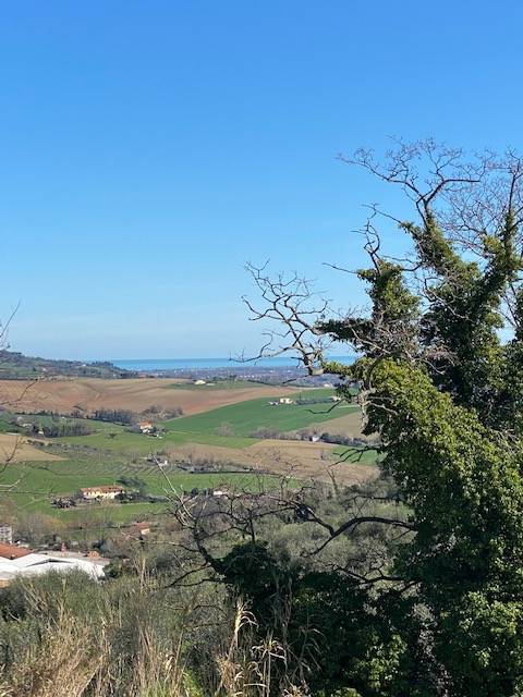 Villa a Cartoceto in Strada Provinciale Sant'Anna - Foto 5