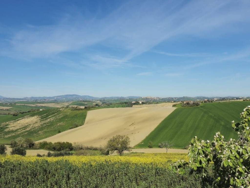 Rustico / casale a Belvedere ostrense in Via Antico - Foto 2