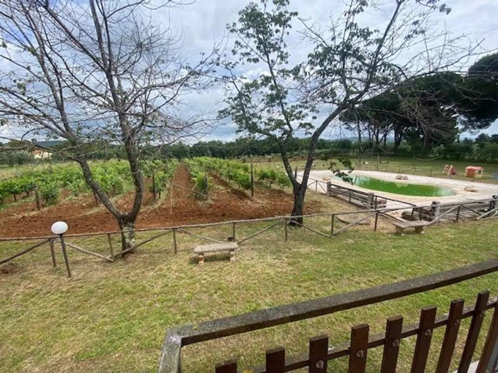 Villa a Gavorrano - Foto 2