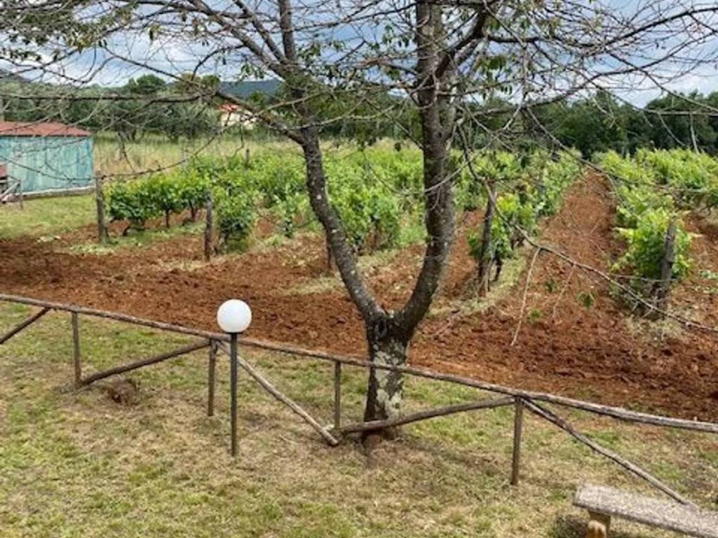 Villa a Gavorrano - Foto 4