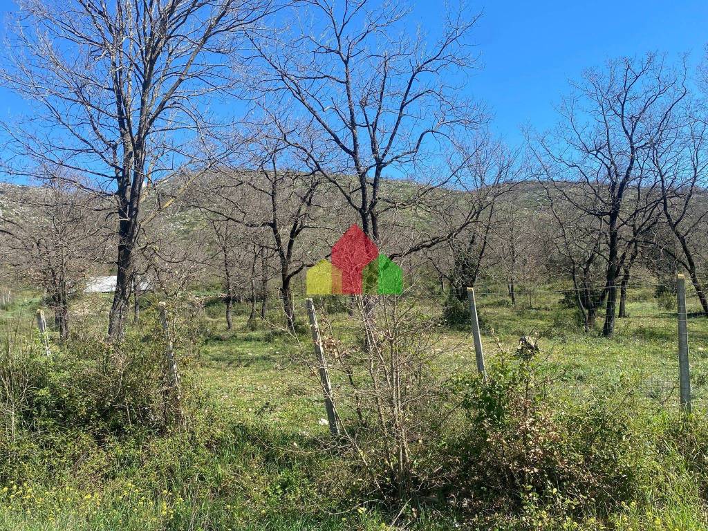 Terreno a Santi cosma e damiano in Via Ruosi - Foto 3