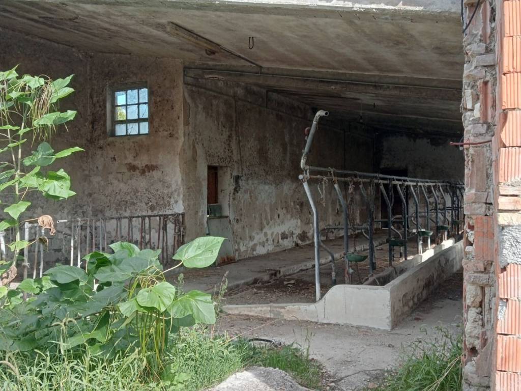 Rustico / casale a Baranello in Via Fonte di Luccara, 33 - Foto 4