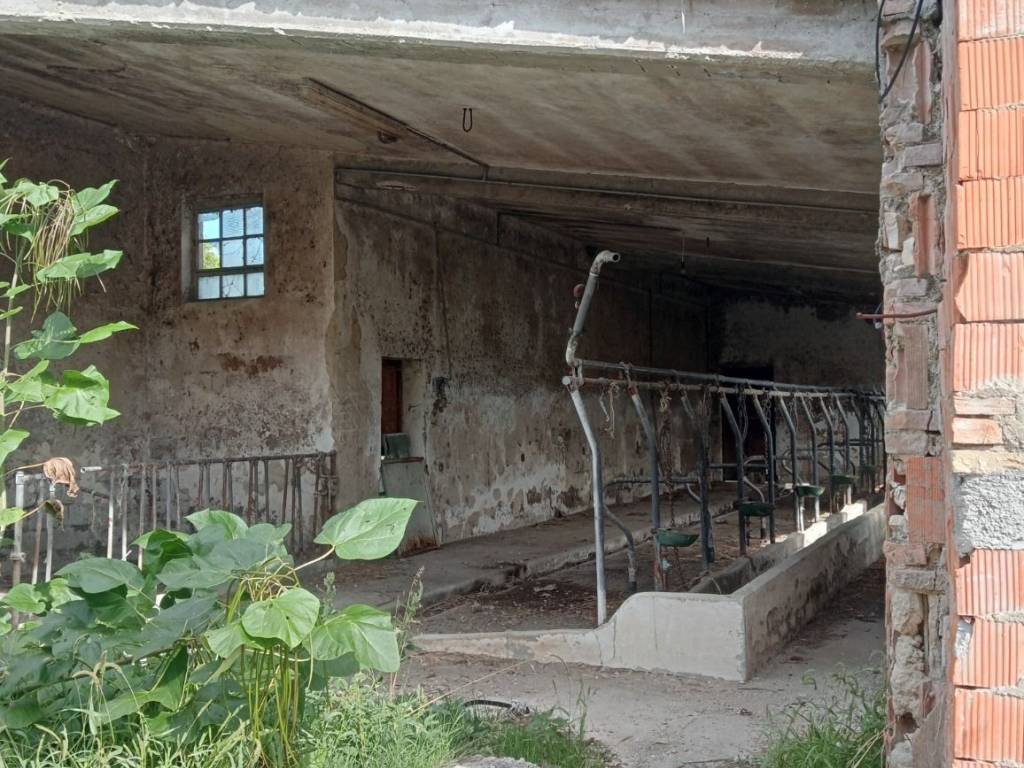 Rustico / casale a Baranello in Via Fonte di Luccara, 33 - Foto 5
