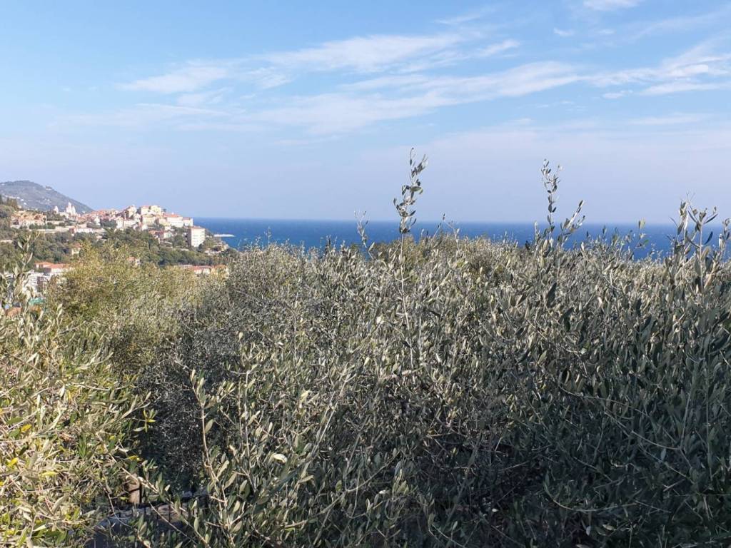 Terreno a Pontedassio in Via Nazionale - Foto 2
