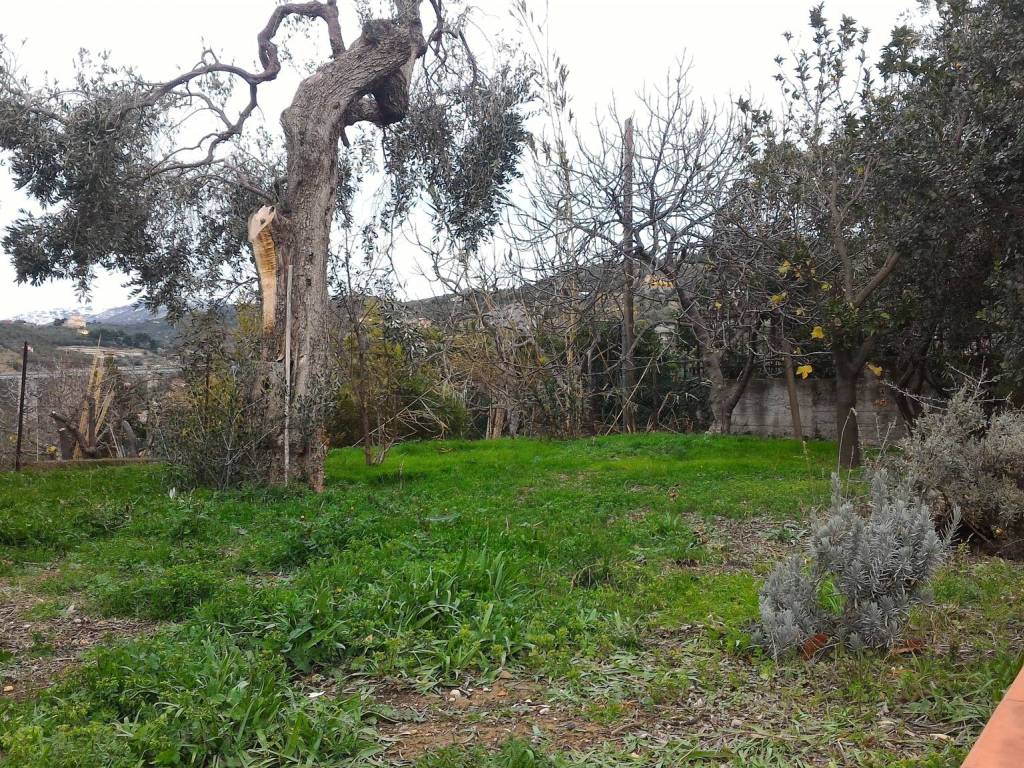 Terreno a Pontedassio in Via Nazionale - Foto 3