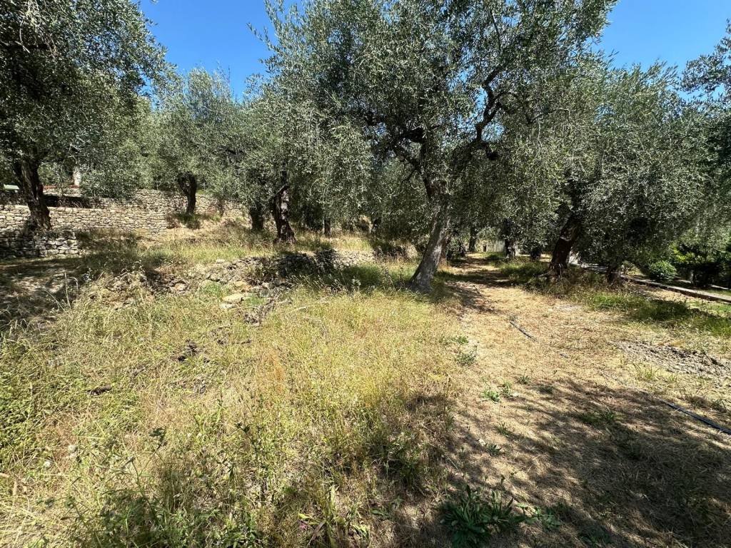 Terreno a Pontedassio in Via Nazionale - Foto 4