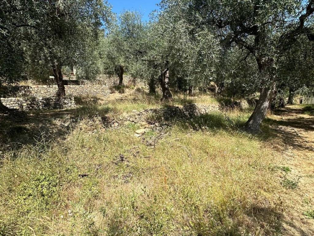Terreno a Pontedassio in Via Nazionale - Foto 5