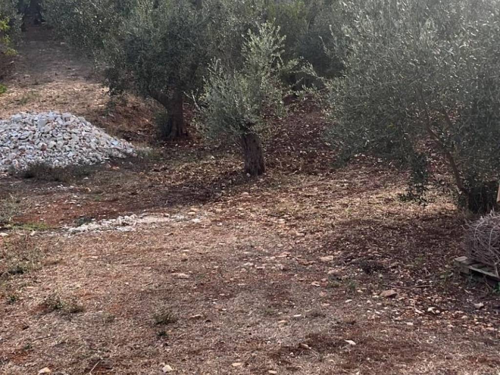 Terreno a Ceglie messapica in Galante Menzella - Foto 5