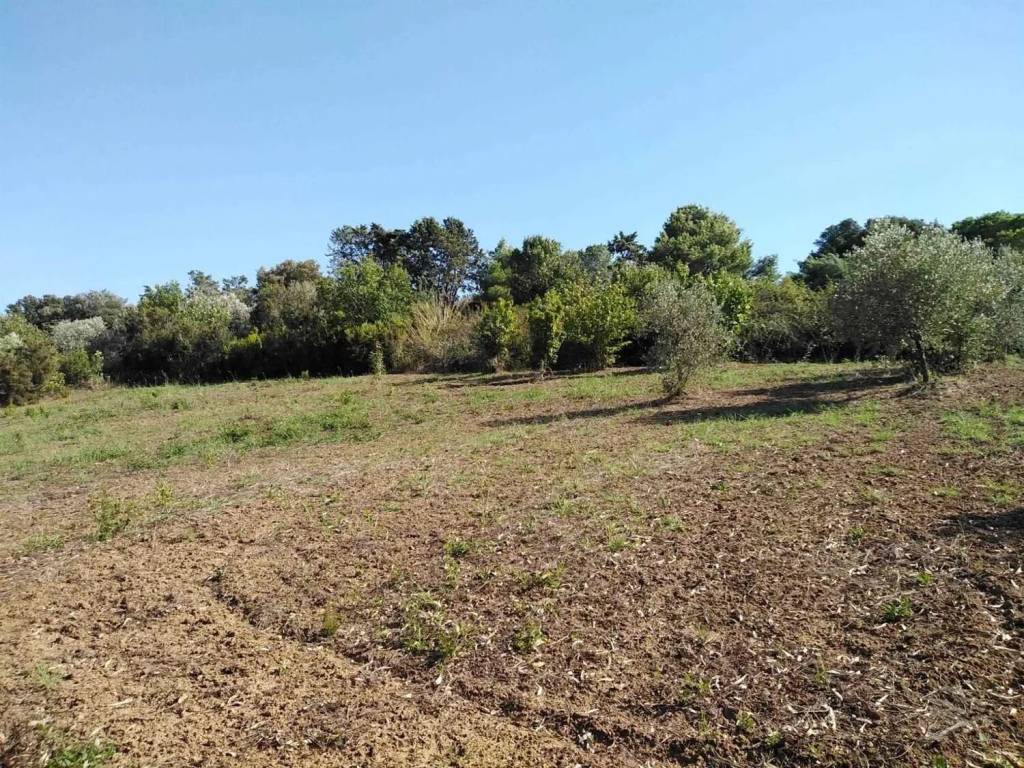 Terreno a Piombino - Foto 3