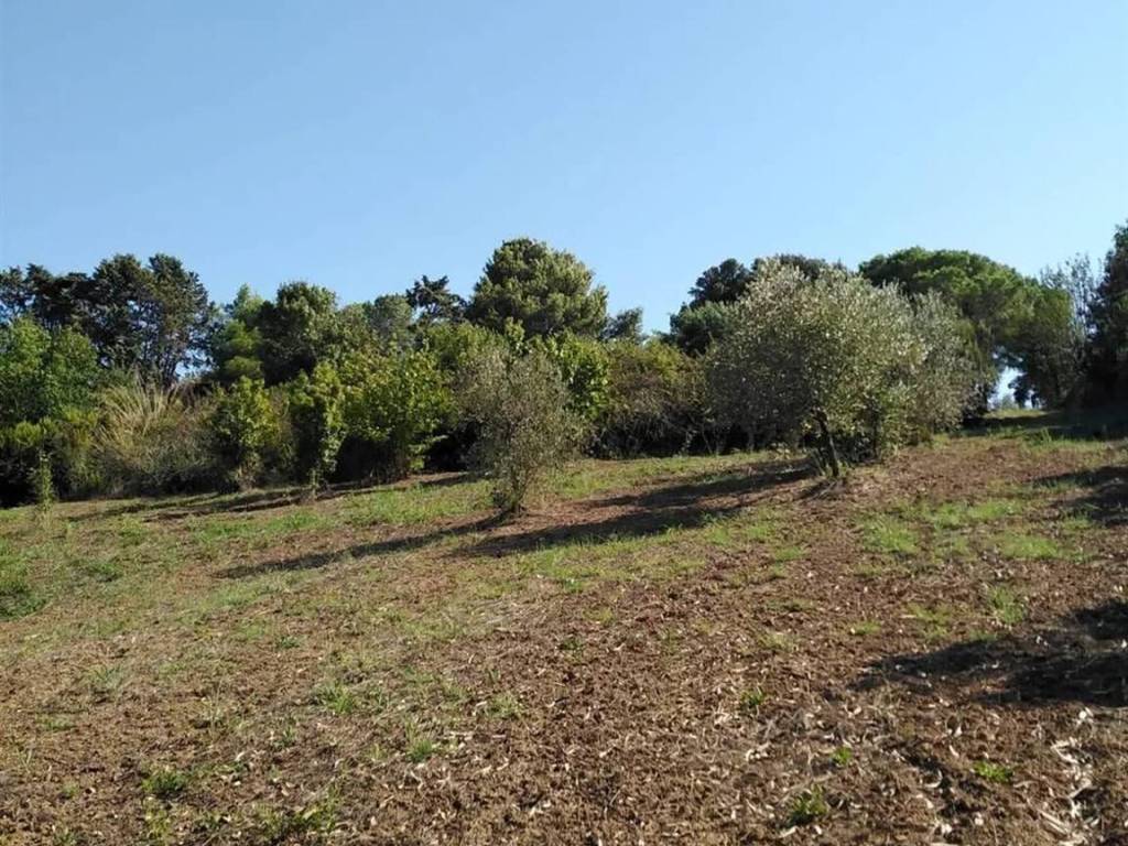 Terreno a Piombino - Foto 4
