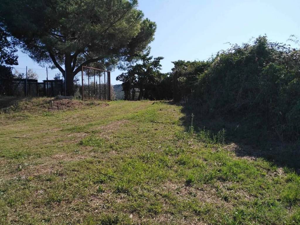Terreno a Piombino - Foto 5