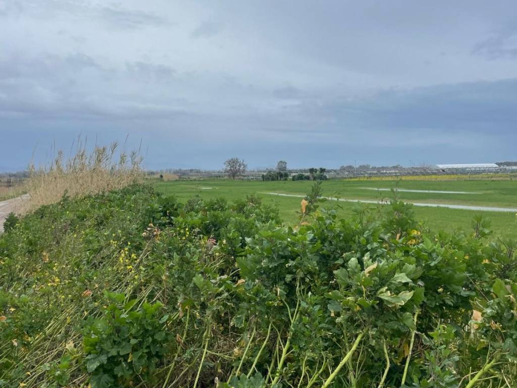 Terreno a Eboli in Strada Provinciale Coda di Volpe - Foto 2