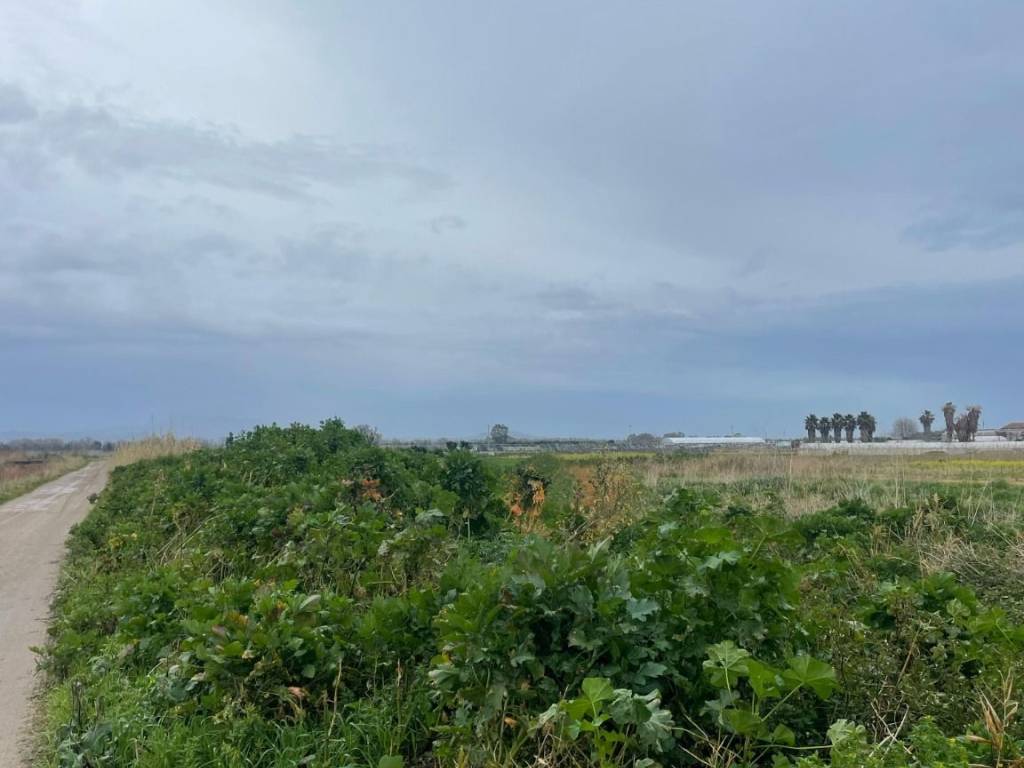Terreno a Eboli in Strada Provinciale Coda di Volpe - Foto 3
