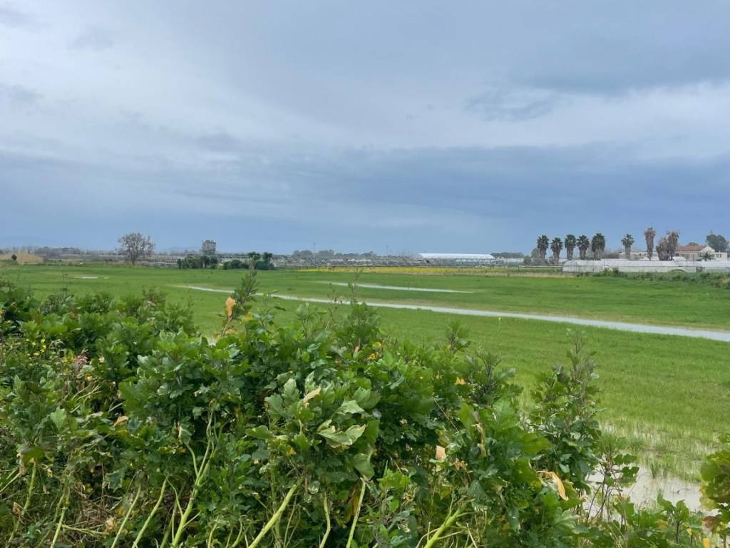 Terreno a Eboli in Strada Provinciale Coda di Volpe - Foto 4