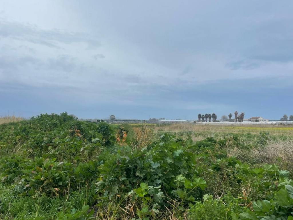 Terreno a Eboli in Strada Provinciale Coda di Volpe - Foto 5
