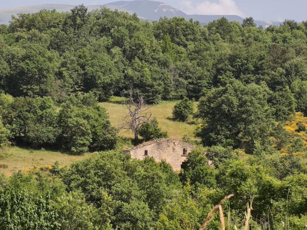 Rustico / casale a Abbateggio in Via Madonna dell'Elcina - Foto 3