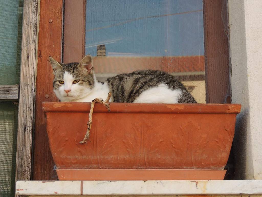Appartamento a Salle in Piazza Guglielmo Marconi - Foto 3