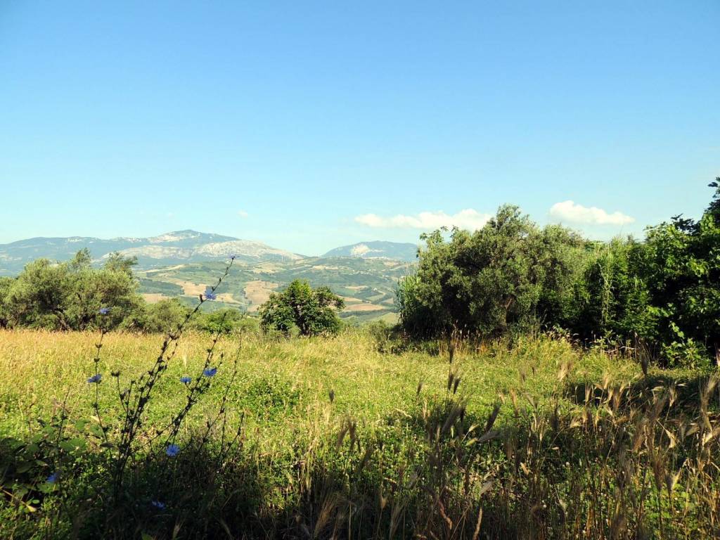 Terreno a Scafa in Piazza Giacomo Matteotti - Foto 2