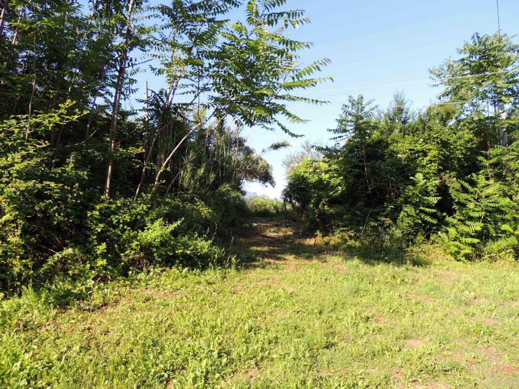 Terreno a Scafa in Piazza Giacomo Matteotti - Foto 3