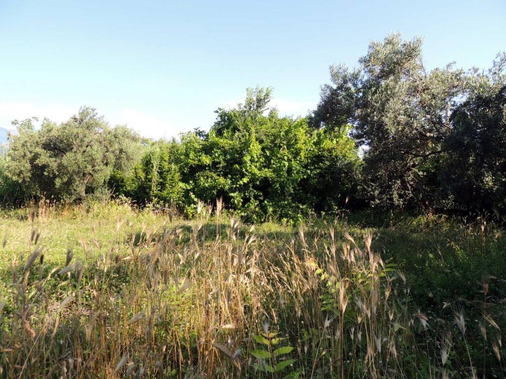 Terreno a Scafa in Piazza Giacomo Matteotti - Foto 4